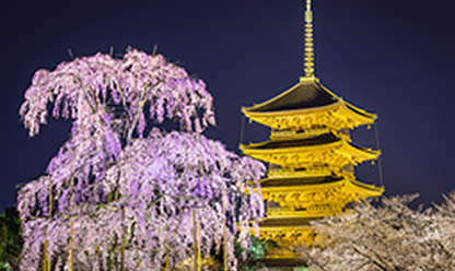 Tour a JAPON INOLVIDABLE 2022 en español | Tours a Tierra Santa