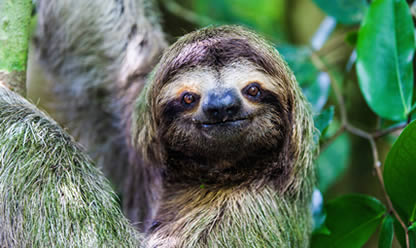 Viajes a COSTA RICA ENTRE VOLCANES Y PLAYAS 2026 en español | Agencia de Viajes Festival