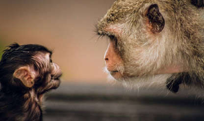 Tour a UGANDA Y RUANDA 2026 en español | Tours a Tierra Santa Tour a UGANDA Y RUANDA 2026 en español | Tours a Tierra Santa