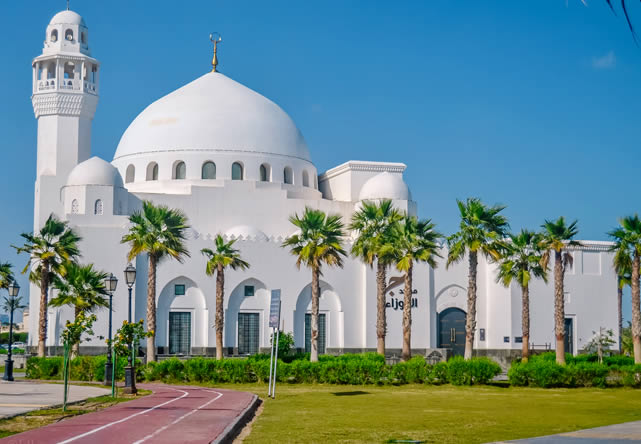 Foto de viaje a arabia en Español 2026-2027