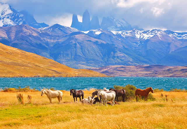 foto del viaje a chile en español 2024-2025