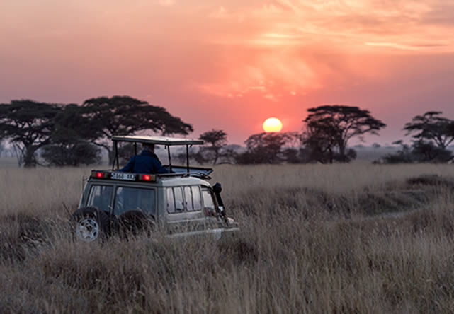 Foto de viaje a tanzania en Español 2024-2025